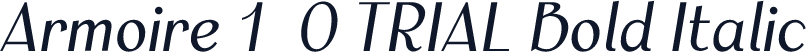 Armoire 1.0 TRIAL Bold Italic
