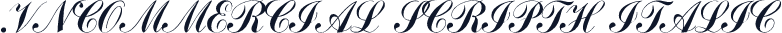 .VnCommercial ScriptH Italic