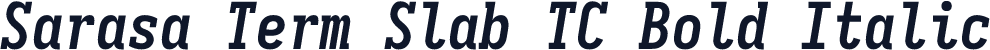 Sarasa Term Slab TC Bold Italic