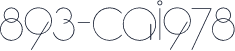 893-CAI978