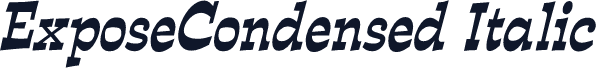 ExposeCondensed Italic