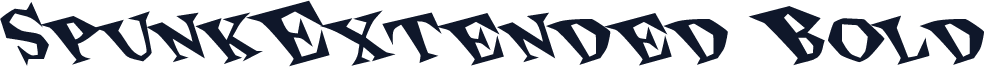 SpunkExtended Bold