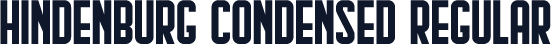 Hindenburg Condensed Regular