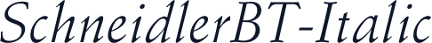 SchneidlerBT-Italic