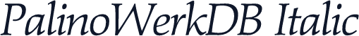 PalinoWerkDB Italic