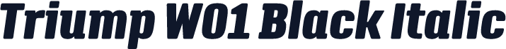 Triump W01 Black Italic
