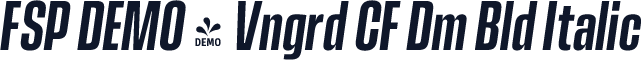 FSP DEMO - Vngrd CF Dm Bld Italic
