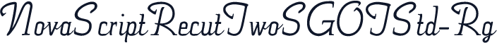☞NovaScriptRecutTwoSGOTStd-Rg