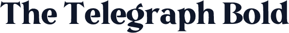The Telegraph Bold