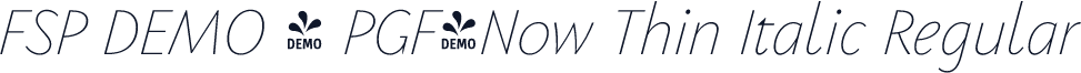 FSP DEMO - PGF-Now Thin Italic Regular