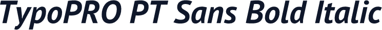 TypoPRO PT Sans Bold Italic