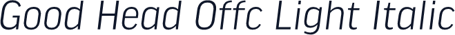 Good Head Offc Light Italic