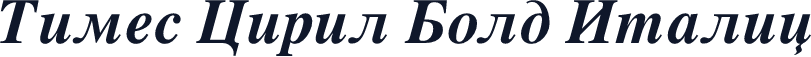 Times Ciril Bold Italic