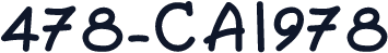 478-CAI978