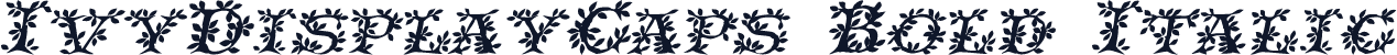 IvyDisplayCaps Bold Italic