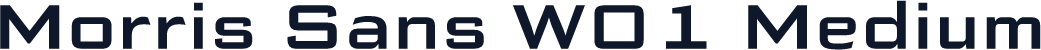 Morris Sans W01 Medium