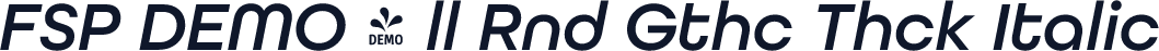 FSP DEMO - ll Rnd Gthc Thck Italic