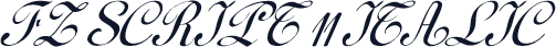 FZ SCRIPT 11 ITALIC