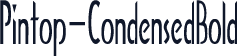 Pintop-CondensedBold