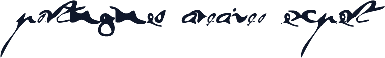 portugues arcaico expert