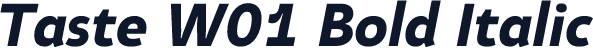 Taste W01 Bold Italic