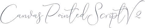 CanvasPointedScriptV.2