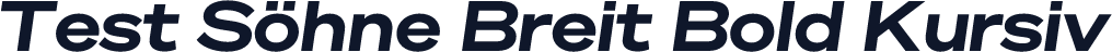 Test Söhne Breit Bold Kursiv