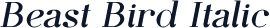 Beast Bird Italic
