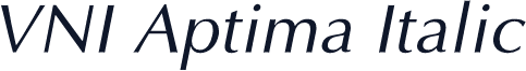 VNI Aptima Italic