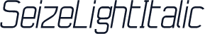 SeizeLightItalic