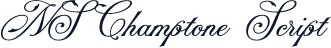 NS Champtone Script