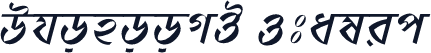 DhonooMJ Italic