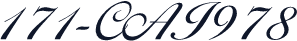 171-CAI978