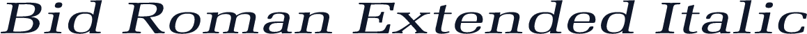 Bid Roman Extended Italic