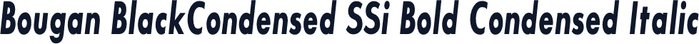 Bougan BlackCondensed SSi Bold Condensed Italic
