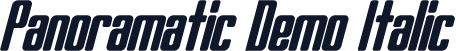 Panoramatic Demo Italic