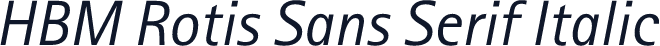 HBM Rotis Sans Serif Italic
