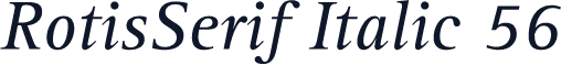 RotisSerif Italic 56