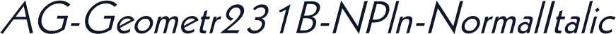 AG-Geometr231B-NPln-NormalItalic