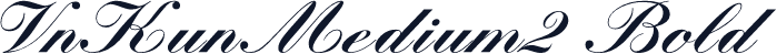 VnKunMedium2 Bold
