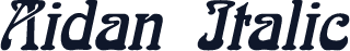 Aidan Italic