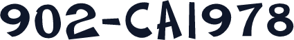 902-CAI978