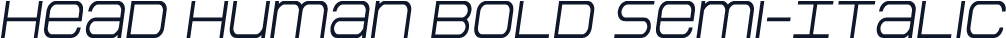 Head Human Bold Semi-Italic