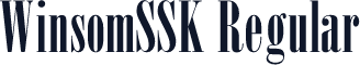 WinsomSSK Regular