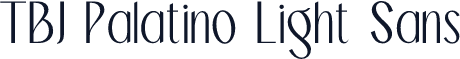 TBJ Palatino Light Sans