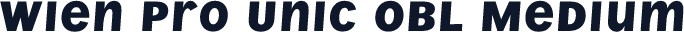 ☞Wien Pro Unic Obl Medium