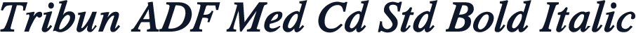 Tribun ADF Med Cd Std Bold Italic
