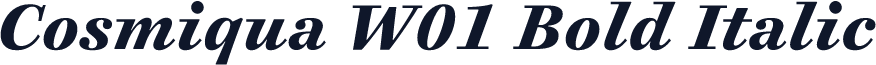 Cosmiqua W01 Bold Italic