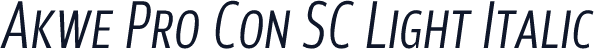 Akwe Pro Con SC Light Italic