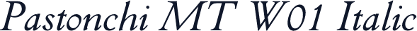 Pastonchi MT W01 Italic